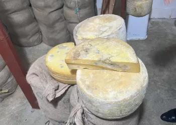 ضبط 20 طناً من الجبن الفاسد قبل بيعه في الأسواق بالإسكندرية 3 - جريدة الجمهورية ضبط 20 طناً من الجبن الفاسد قبل بيعه في الأسواق بالإسكندرية