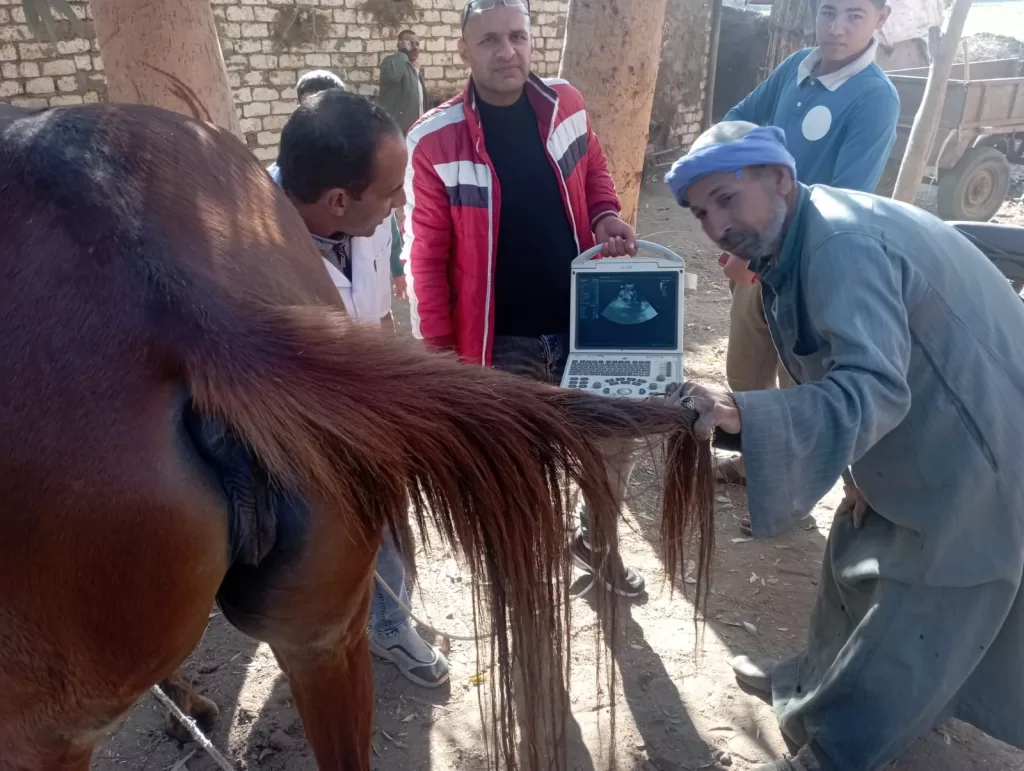 WhatsApp Image 2025 12 18 at 12.28.26 PM 1 - جريدة الجمهورية