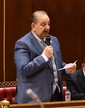 نبيل دعبس: الموقف المصري من السودان يستند إلى مسؤولية تاريخية وأمن قومي