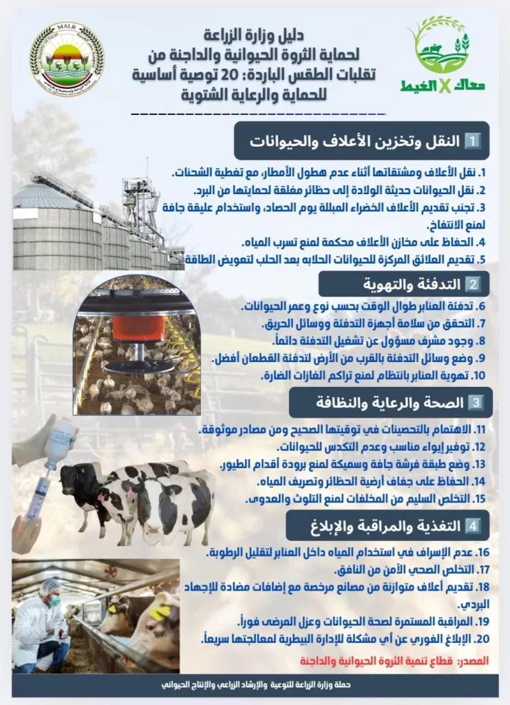 WhatsApp Image 2025 12 19 at 1.16.29 PM - جريدة الجمهورية