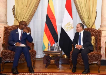 عبد العاطي يبحث مع وزير خارجية زيمبابوي تعزيز الشراكة الاقتصادية ونقل الخبرات المصرية في البنية التحتية والدواء