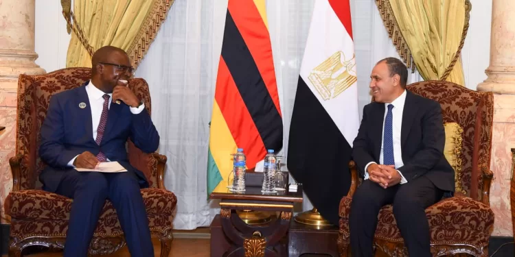 عبد العاطي يبحث مع وزير خارجية زيمبابوي تعزيز الشراكة الاقتصادية ونقل الخبرات المصرية في البنية التحتية والدواء