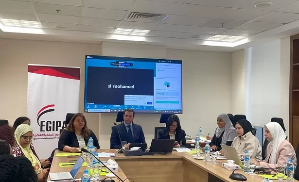 تعاون مصري دولي لتعزيز جودة الفحص الموضوعي لبراءات الاختراع الدوائية