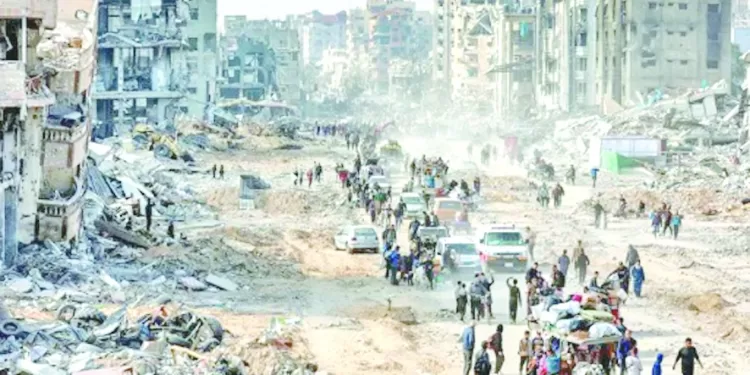 «الأفيال».. وحلم إنهاء العقدة