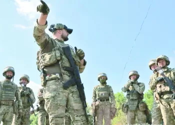 «الأفيال».. وحلم إنهاء العقدة