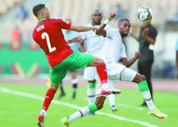 «الأفيال».. وحلم إنهاء العقدة