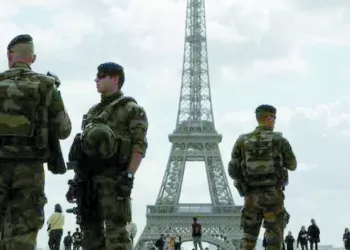 «الأفيال».. وحلم إنهاء العقدة