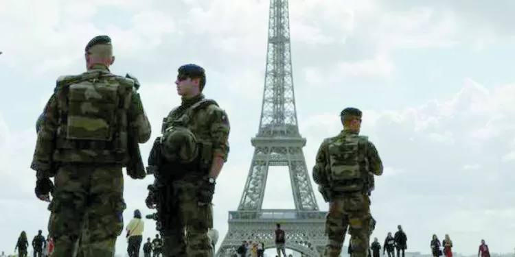 «الأفيال».. وحلم إنهاء العقدة