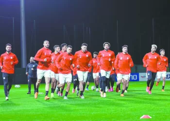 «الأفيال».. وحلم إنهاء العقدة