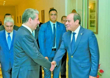 السيسى.. لرئيس حكومة كردستان العراق : «القاهرة» تدعم وحدة وسلامة أراضى  العراق