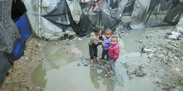 زامبيا «تخطف» التعادل من مالى فى الوقت القاتل