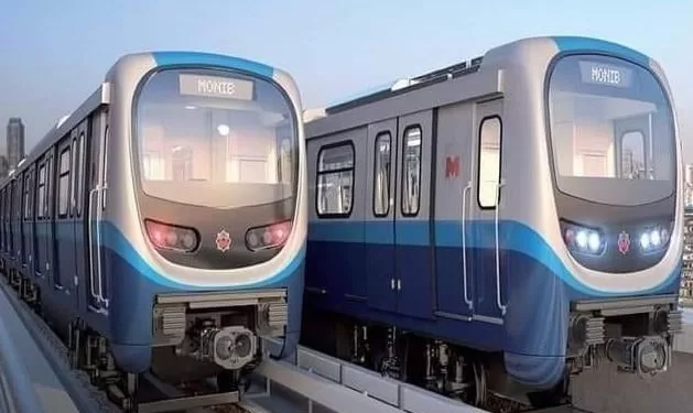 استخراج تراخيص مزاولة المهنة لـ 340 عاملاً للالتحاق بمشروع مترو الإسكندرية