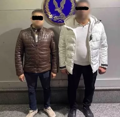 مشاجرة بسبب إطعام الكلاب الضالة تنتهي أمام جهات التحقيق بالإسكندرية