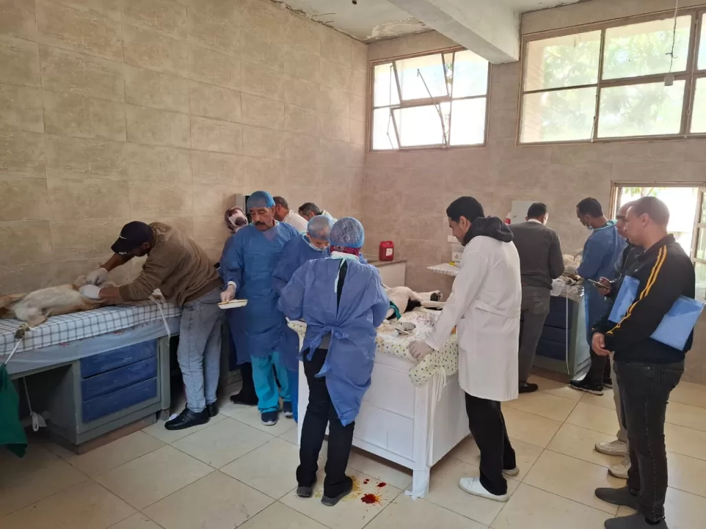 WhatsApp Image 2025 12 25 at 11.44.30 PM - جريدة الجمهورية