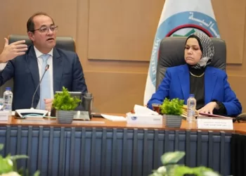 وزير المالية: حزم تسهيلات متتالية لتحويل المجتمع الضريبي إلى شريك حقيقي في التنمية