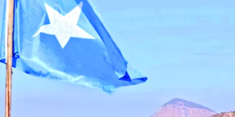 مشوار منتخبنا حتى الوصول لنهائى أمم إفريقيا