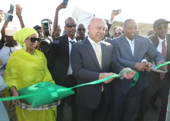 تعزيزاً للتعاون الاستراتيجي.. الفريق مهندس كامل الوزير يفتتح محطة الطاقة الشمسية بقرية «عمر جكع» في جيبوتي