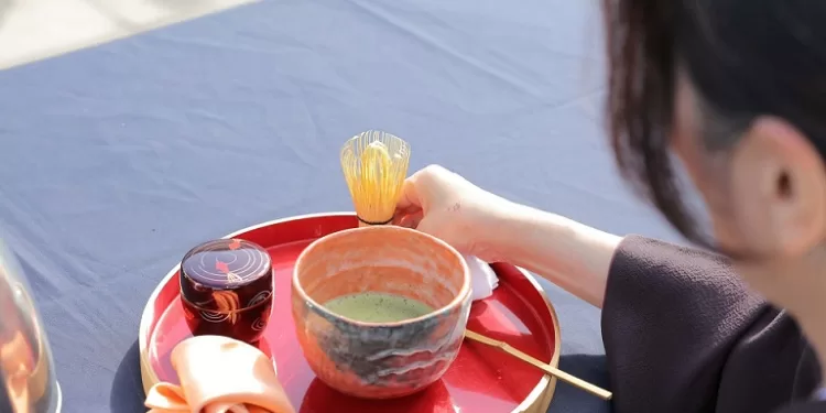 أطفال مصر واليابان يرسمون السلام في ختام فعاليات أكبر لوحة في العالم بمكتبة الإسكندرية