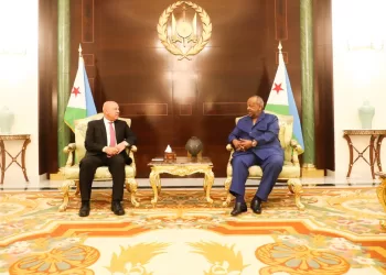 الفريق كامل الوزير يعقد سلسلة لقاءات موسعة مع وزراء الحكومة الجيبوتية لبحث تعزيز التعاون الصناعي والتجاري