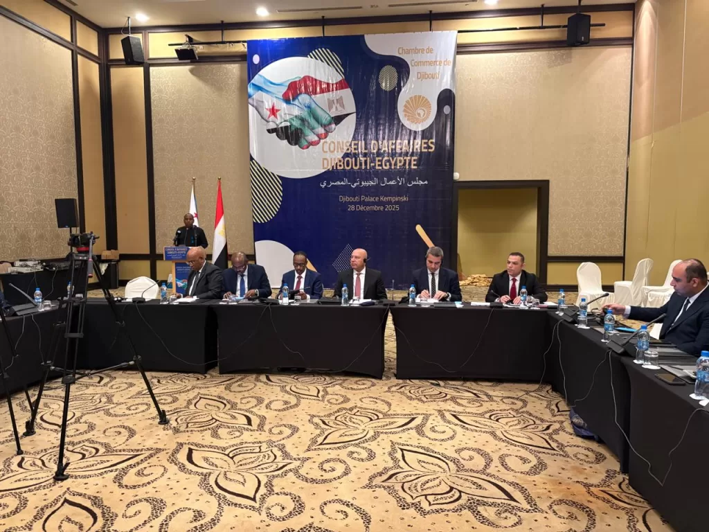 WhatsApp Image 2025 12 29 at 12.05.25 PM 3 - جريدة الجمهورية