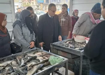 وكيل تموين الدقهلية يتفقد المعارض الدائمة ويؤكد: تخفيضات السلع تصل إلى 20%