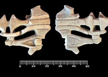 بالصور.. اكتشاف ورش صناعية وأقراط ذهبية في كشف أثري جديد بالبحيرة