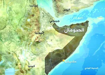 القرن الإفريقى.. أمن قومى مصرى 2 - جريدة الجمهورية صعدنا للدور الـ 16 رغم غلطة «العميد» وكفاح «الغزلان»