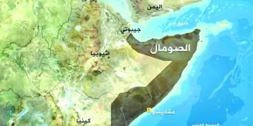 صعدنا للدور الـ 16 رغم غلطة «العميد» وكفاح «الغزلان»