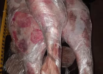 ضبط لحوم فاسدة داخل مطعم شهير بالسويس