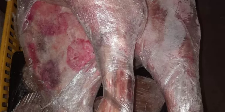 ضبط لحوم فاسدة داخل مطعم شهير بالسويس 1 - جريدة الجمهورية ضبط لحوم فاسدة داخل مطعم شهير بالسويس