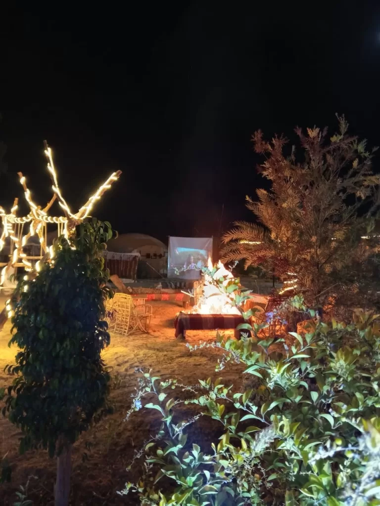 WhatsApp Image 2025 12 31 at 3.52.49 PM 2 - جريدة الجمهورية