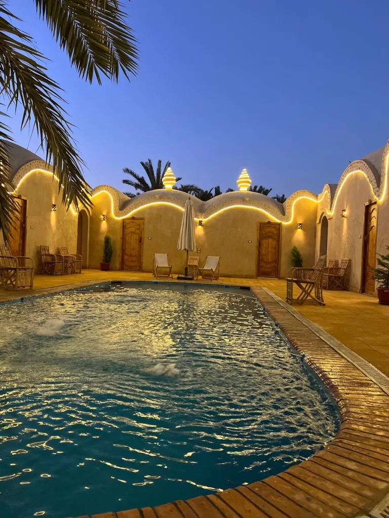 WhatsApp Image 2025 12 31 at 3.52.50 PM 1 - جريدة الجمهورية