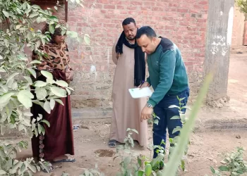 «الزراعة» تطلق حملات مكثفة لمكافحة «النمل الأبيض» بالمحافظات.. والمبيدات «مجاناً» لغير القادرين