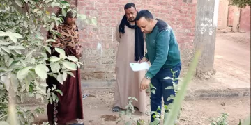 «الزراعة» تطلق حملات مكثفة لمكافحة «النمل الأبيض» بالمحافظات.. والمبيدات «مجاناً» لغير القادرين