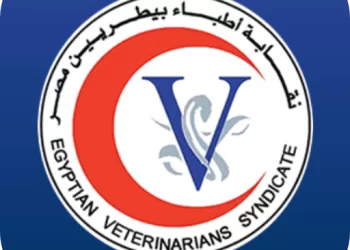 اعتماد الكشوف النهائية لمرشحي انتخابات التجديد النصفي بنقابة البيطريين