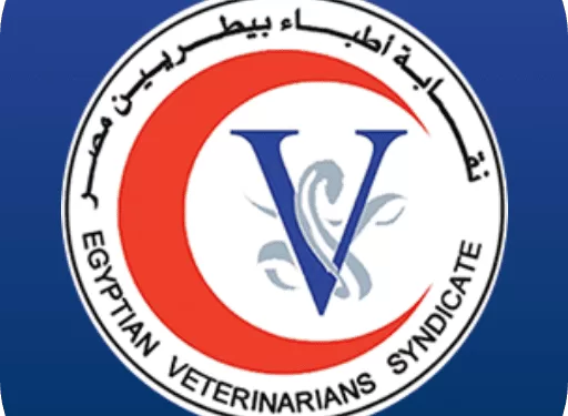 اعتماد الكشوف النهائية لمرشحي انتخابات التجديد النصفي بنقابة البيطريين