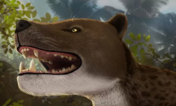 مركز الحفريات الفقارية يسجل عامًا استثنائيًا بإنجازات علمية غير مسبوقة خلال 2025 2 - جريدة الجمهورية 1 34 - جريدة الجمهورية