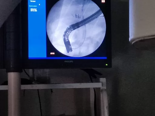 10 12 - جريدة الجمهورية