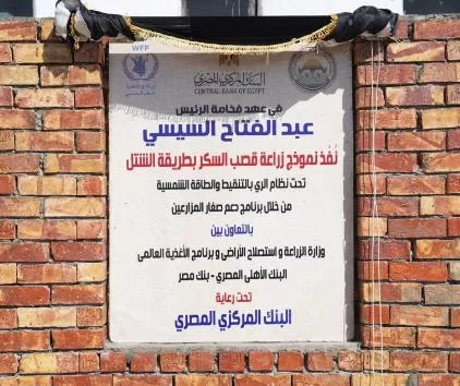 13 1 - جريدة الجمهورية