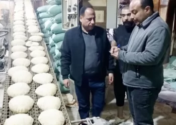 ضبط ٧١ مخالفة تموينية فى حملة موسعة بالدقهلية 3 - جريدة الجمهورية ضبط ٧١ مخالفة تموينية فى حملة موسعة بالدقهلية