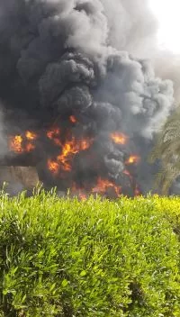 2 118 - جريدة الجمهورية