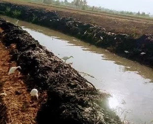 ري الفيوم يكثف أعمال تطهير «بحر سنورس العمومي» لضمان وصول المياه لـ 13 ألف فدان