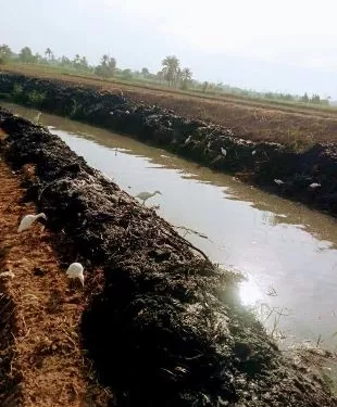 ري الفيوم يكثف أعمال تطهير «بحر سنورس العمومي» لضمان وصول المياه لـ 13 ألف فدان 1 - جريدة الجمهورية ري الفيوم يكثف أعمال تطهير «بحر سنورس العمومي» لضمان وصول المياه لـ 13 ألف فدان