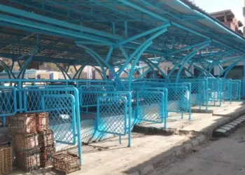 نقل الباعة الجائلين إلى السوق الجديد وإعادة الانضباط لوسط مدينة مطروح 6 - جريدة الجمهورية نقل الباعة الجائلين إلى السوق الجديد وإعادة الانضباط لوسط مدينة مطروح