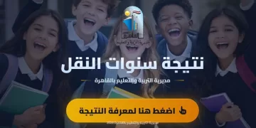 تعرف على نتيجة سنوات النقل بالقاهرة للفصل الدراسي الأول