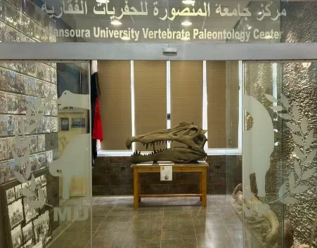 مركز الحفريات الفقارية يسجل عامًا استثنائيًا بإنجازات علمية غير مسبوقة خلال 2025 6 - جريدة الجمهورية 6 7 - جريدة الجمهورية