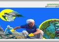 إطلاق تقرير غرينبيس:  لتسليط الضوء على معالجة التلوث البلاستيكي