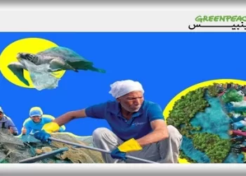إطلاق تقرير غرينبيس:  لتسليط الضوء على معالجة التلوث البلاستيكي