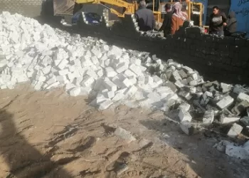 إزالة 8 حالات تعدٍ بالبناء على الأراضي الزراعية بالشرقية 