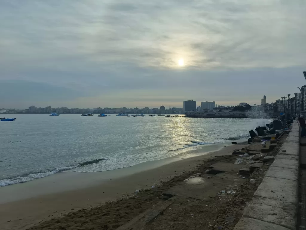 الإسكندرية تواجه طقس العام الجديد بـ 150 سيارة صرف صحي وانتشار مروري مكثف 8 - جريدة الجمهورية WhatsApp Image 2026 01 01 at 3.41.00 PM - جريدة الجمهورية